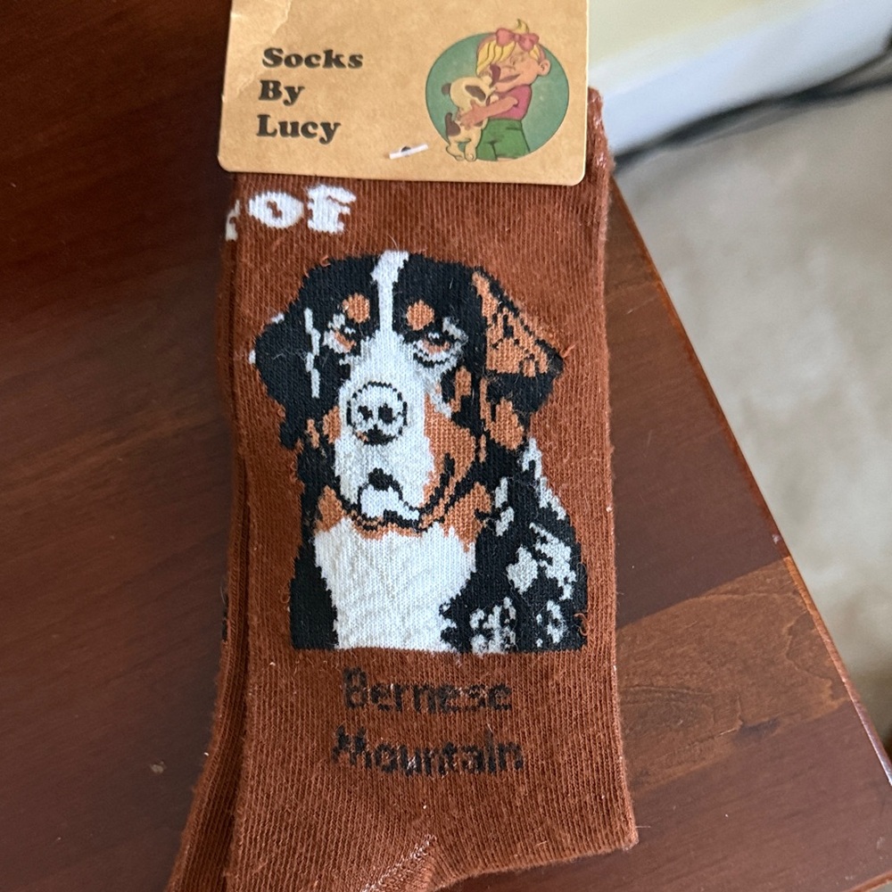 Lucy Brown Bernese Mountain Dog Socks NWT